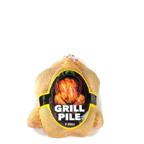 Pile svježe Koka 1 kg