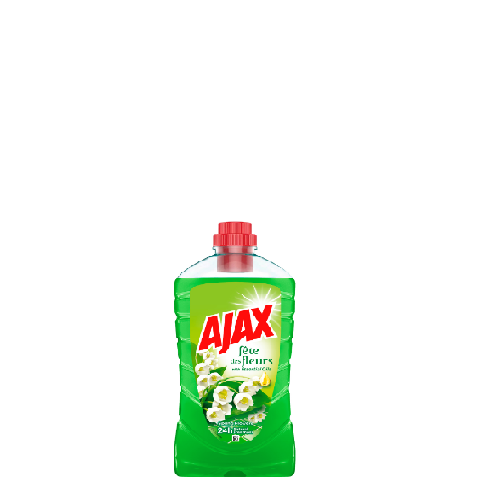 Ajax 1L / 02.05. = 2,69€