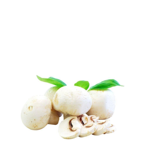 Šampinjoni 500g Fridrih 1,45€ 1kg=2,90€