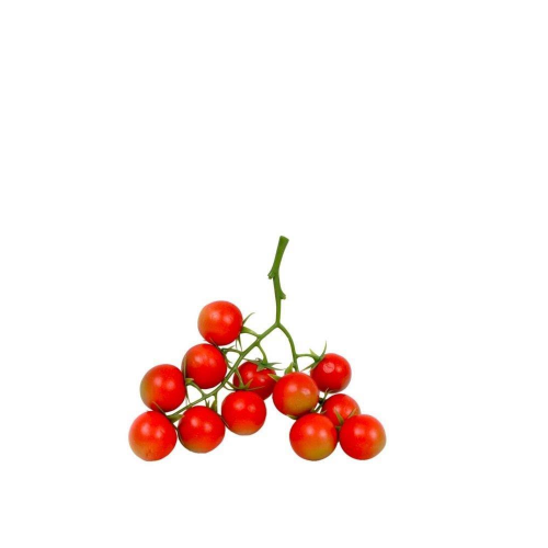 Rajčica mini  kg mpc 02.05.= 5,99€