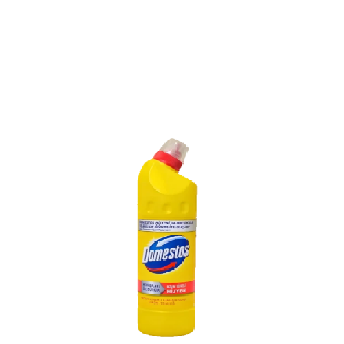 Domestos limun ili pine 750ml mpc 02.05.=2,39€